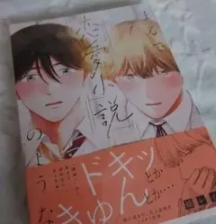 まるで、恋愛小説のような　綿レイニ