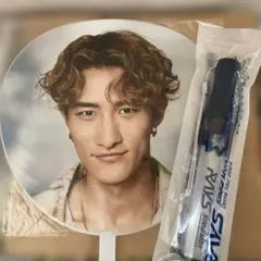 Snow Man Dome Tour ２０２４　RAYS 岩本照セット