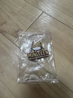 MINITEEN めじるしアクセサリー ディノ