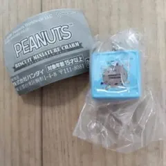 PEANUTS ビスケットミニチュアチャーム