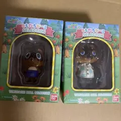 あつまれどうぶつの森 ともだちどーる