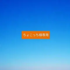 【ちょこっち様専用】ポケモンフレンダ　セット