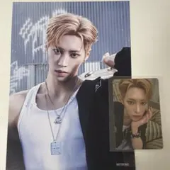 ALD1 アルノ トレカ タワレコ 特典 euphoria フライヤー付き！