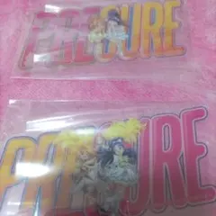 映画プリキュアオールスターズF クリアカード２枚