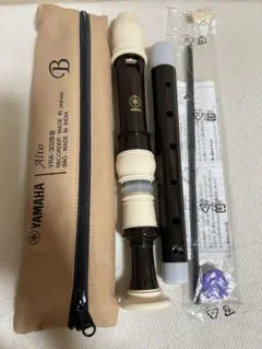 Item thumbnail for item 5c5993c8-52d4-4919-8df0-6a938ab9747d