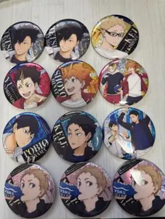 ハイキュー!! 缶バッジ 12個セット