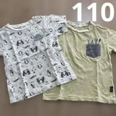 ノイユエベベ　ペンギン柄Tシャツとポケット付きTシャツセット　110