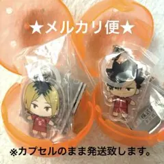 【新品】ハイキュー!! ふらっとめじるしアクセサリー　 黒尾鉄朗・孤爪研磨