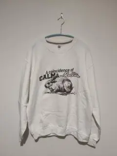 tacica ordinary day トレーナー