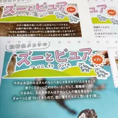超特急 タカシ 連載 JUNON 切り抜き