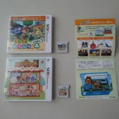 3DS ソフト　ハッピーホームデザイナー & とびだせどうぶつの森 2本セット