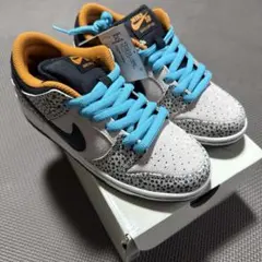 Nike SB Dunk Low Pro Electric Safari
