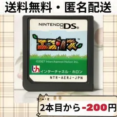 ソフトのみ エコリス ニンテンドーDS ゲームソフト 匿名配送 送料無料
