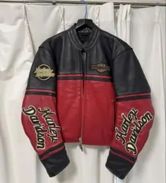 2025年最新】Harley-Davidson メンズ レザージャケット