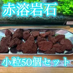 天然サンゴ砂 珊瑚砂 さんご砂 ろ材 海水水槽 ヤドカリ グッピー　20kg 天然珊瑚砂 3kg さんご砂 サンゴ砂 ろ材 海水水槽 ヤドカリ グッピーの
