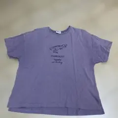 ブリーズ　恐竜ティラノサウルス 半袖Tシャツ 紫色　140センチ