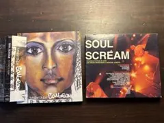 【ソ】SOUL SCREAM「緑の森」メルカリ初登場 シールド盤 soul scream the positive energy 初版 - メルカリ