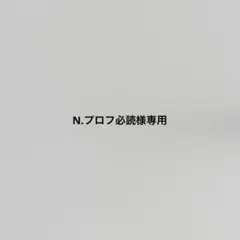 N.プロフ必読様　韓国　バインダー　貯金　カバー　ダブルリングバインダー　白　4