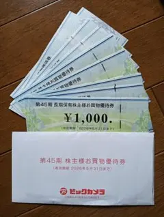 ビックカメラ コジマ株主優待券9000円分(1000円券 9枚)