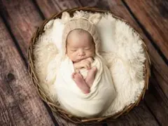 Item thumbnail for item b20b9c31-9d8a-49d0-ba81-46375342e226