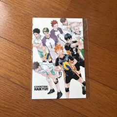 ハイキュー!! 大判ポストカード　キービジュアル　ハイキュー‼︎原画展