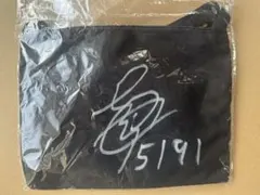 Item thumbnail for item 6067ae20-07ca-4d96-b569-a31e7ecb0533