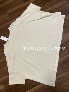 アメリカンホリック　新品　tシャツ