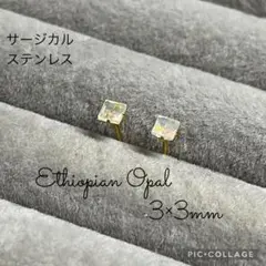 cat_ fanciers22様 リクエスト 2点 まとめ商品