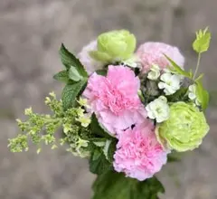 スカシユリの切花セット 生花 ネコポス - メルカリ