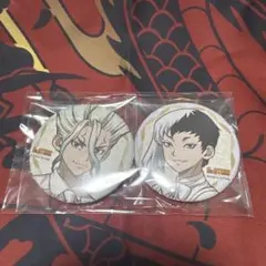 Dr.STONE DVD 缶バッジ 石神千空 あさぎりゲン アニメイト 特典 - メルカリ