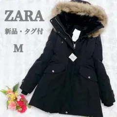 Item thumbnail for item 03d8dadf-8623-4122-88c4-a28e9b88bdd9