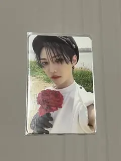 Stray Kids MAXIDENT タレントカード
