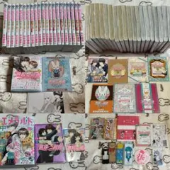 世界一初恋1〜30巻+純情ロマンチカ1〜21巻 全巻セット 中村春菊 - メルカリ
