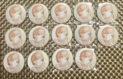 プロセカ 花里みのり vol.44B 缶バッジ 14点