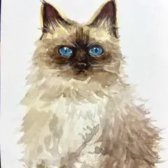 水彩画 猫 原画
