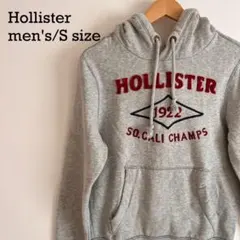 HOLLISTER パーカー S 刺繍ロゴ グレー 裏起毛 サガラ フーディ