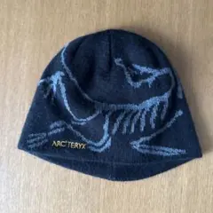 アークテリクスビーニー値下げありのサムネイル