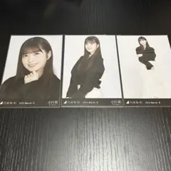 ひめたんの隠しミートボール様 リクエスト 2点 まとめ商品