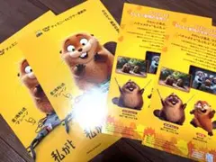 【メルカリ便】私がビーバーになる時　フライヤー　４枚　芳根京子