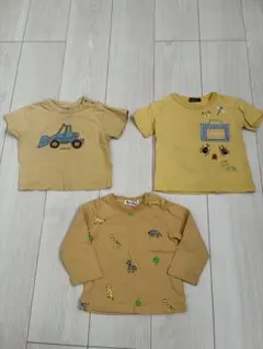 Tシャツ、長袖3枚セット