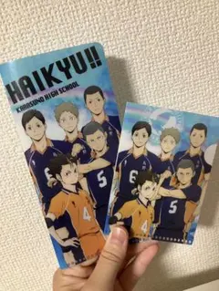 ハイキュー　烏野　ミニクリアファイル