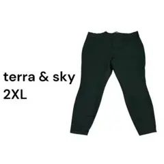 terra & sky ブラック レギンス　2XL