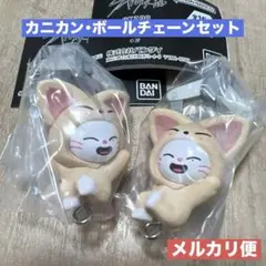 SKZOO つまんでつなげてますこっと vol.2 ジニレット セット