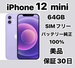 銀パパ専用　 iPhone 12 mini 64GB SIMフリー