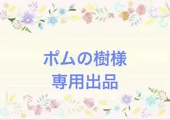 ポムの樹様専用　ぽんちゅーる５袋セット
