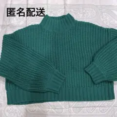 美品 INGNI イング グリーン かぎ編みニットセーター タートル トップス
