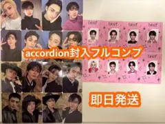 stray kids Do it アコーディオン　封入トレカ　ID コンプリート