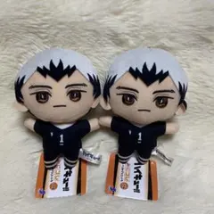 ハイキュー　みにコレ　ぬいぐるみ　マスコット　北信介　②