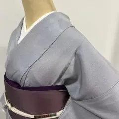 2025年最新】色無地 着物 未使用品の人気アイテム - メルカリ