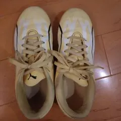 サッカーシューズ　スパイク　プーマ 20センチ